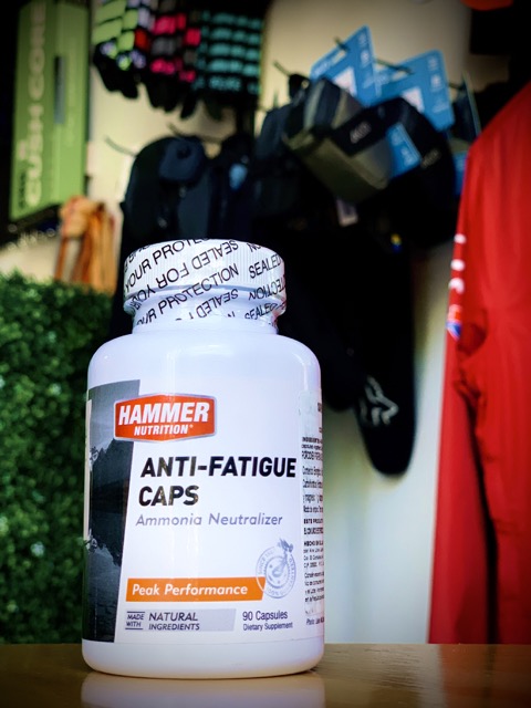 https://habikes.com/web/image/product.image/599/image_1024/Hammer%20Anti-Fatigue%20Caps%20-%20Anti-fatigue%20-%2090%20c%C3%A1psulas?unique=ae6b1e0